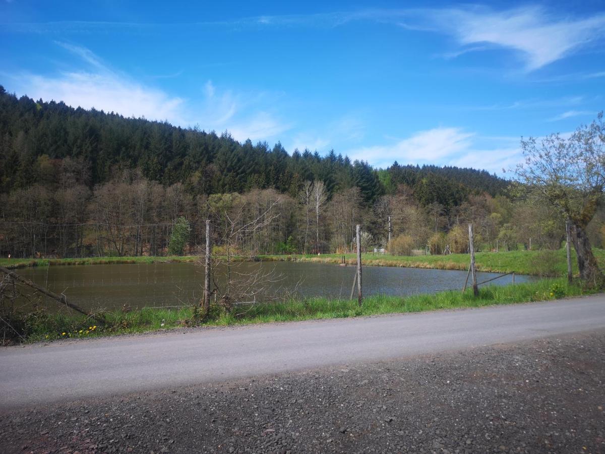 Ferienhaus Salmtal Himmerod Großlittgen Exterior foto